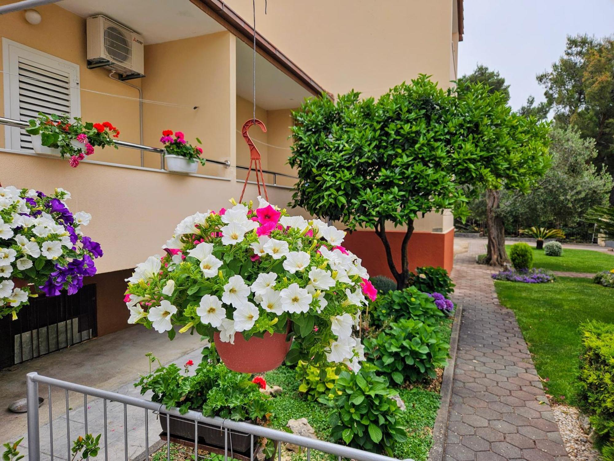 Guest House Antonia Baska Voda Exterior photo